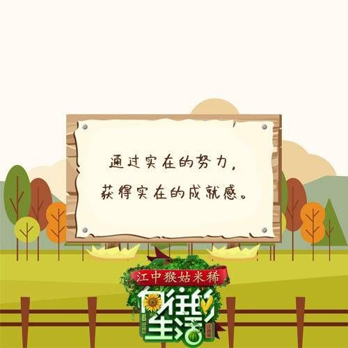 向往的生活2-6